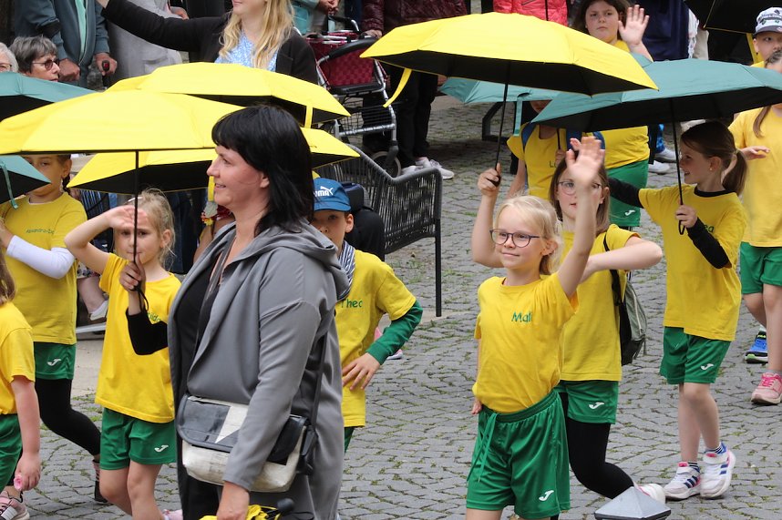 211. Brunnenfestumzug in Bad Langensalza mit vielen fr&ouml;hlichen Akteuren