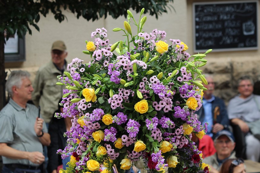 211. Brunnenfestumzug in Bad Langensalza mit vielen fr&ouml;hlichen Akteuren