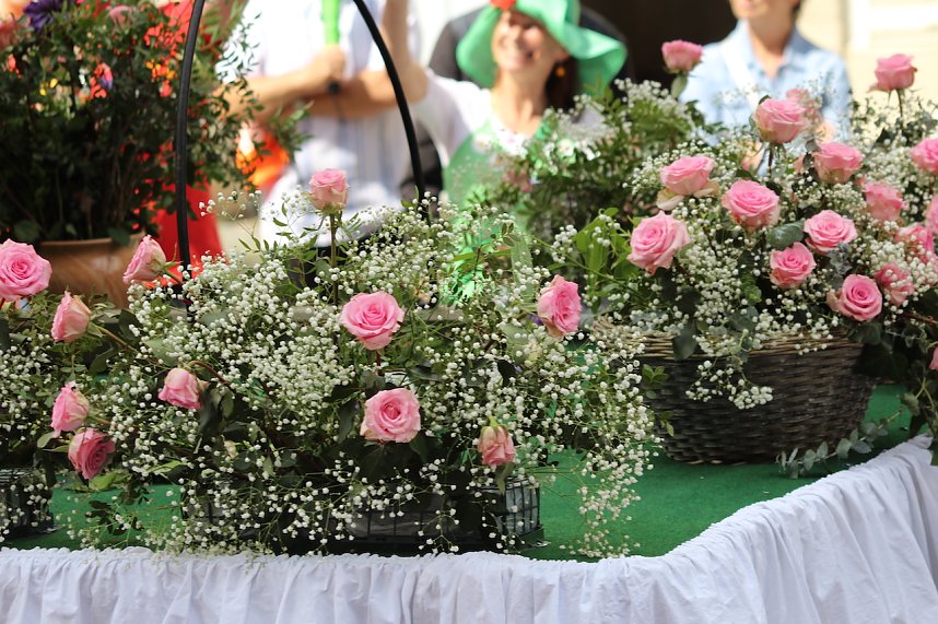 211. Brunnenfestumzug in Bad Langensalza mit vielen fr&ouml;hlichen Akteuren