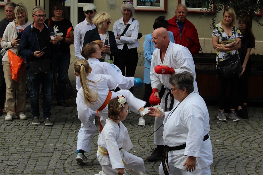 Teilnehmerinnen und Teilnehmer des Festumzuges zum 211. Brunnenfest in Bad Langensalza 