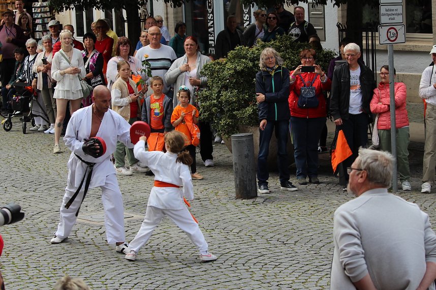 Teilnehmerinnen und Teilnehmer des Festumzuges zum 211. Brunnenfest in Bad Langensalza 