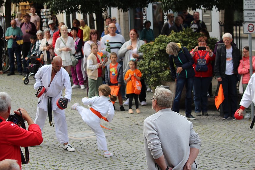 Teilnehmerinnen und Teilnehmer des Festumzuges zum 211. Brunnenfest in Bad Langensalza 