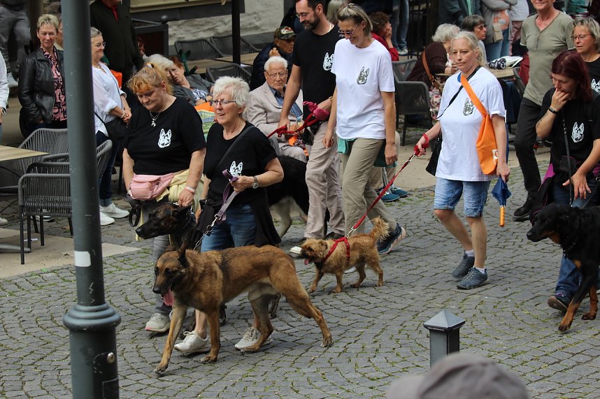 Teilnehmerinnen und Teilnehmer des Festumzuges zum 211. Brunnenfest in Bad Langensalza 