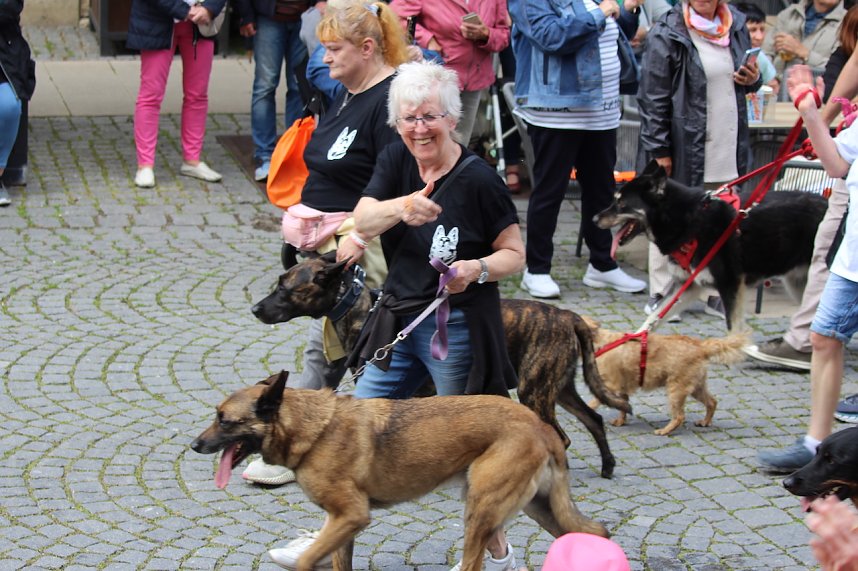 Teilnehmerinnen und Teilnehmer des Festumzuges zum 211. Brunnenfest in Bad Langensalza 