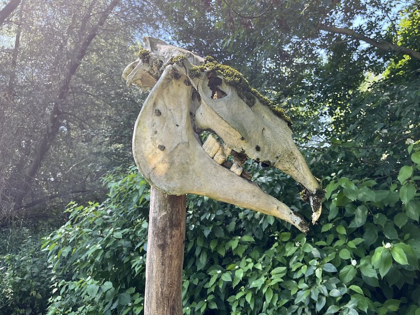 Germanenfest im Opfermoor