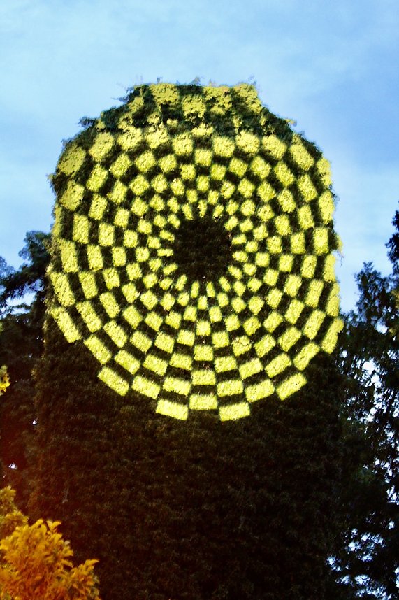 Super Spektakel in der extralangen Sommerlaunenacht in Bad Langensalza