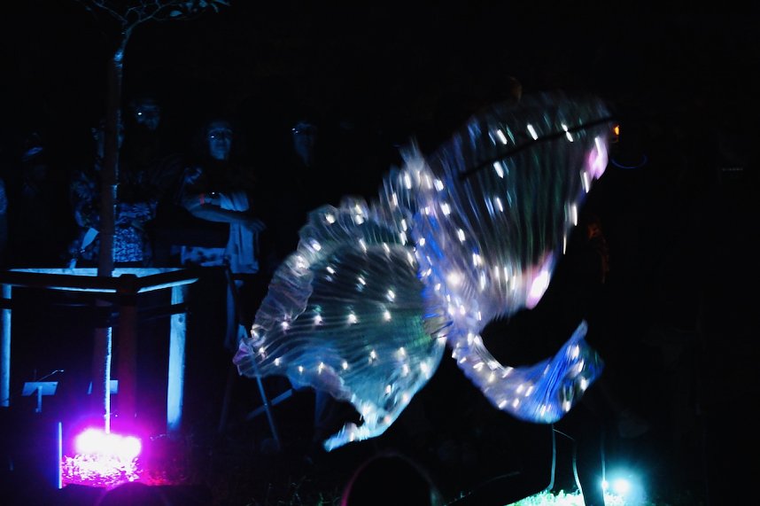 Super Spektakel in der extralangen Sommerlaunenacht in Bad Langensalza