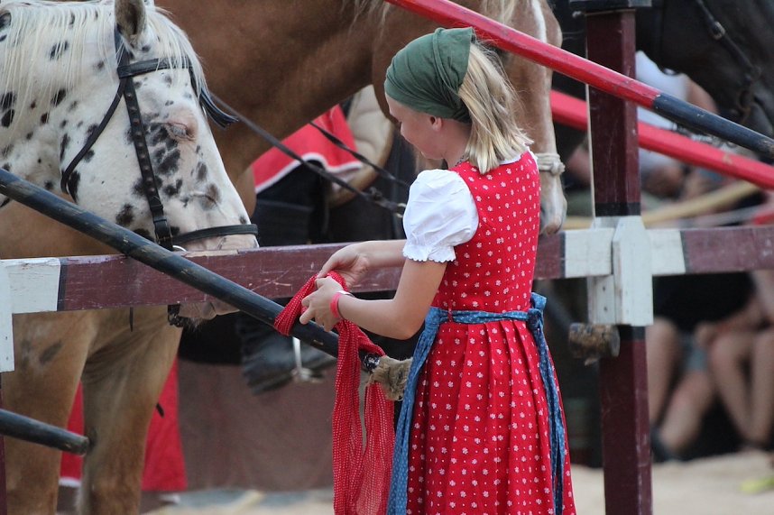 Hochprofessionelle Reitershow mit "Wenzel Ritterspiele"