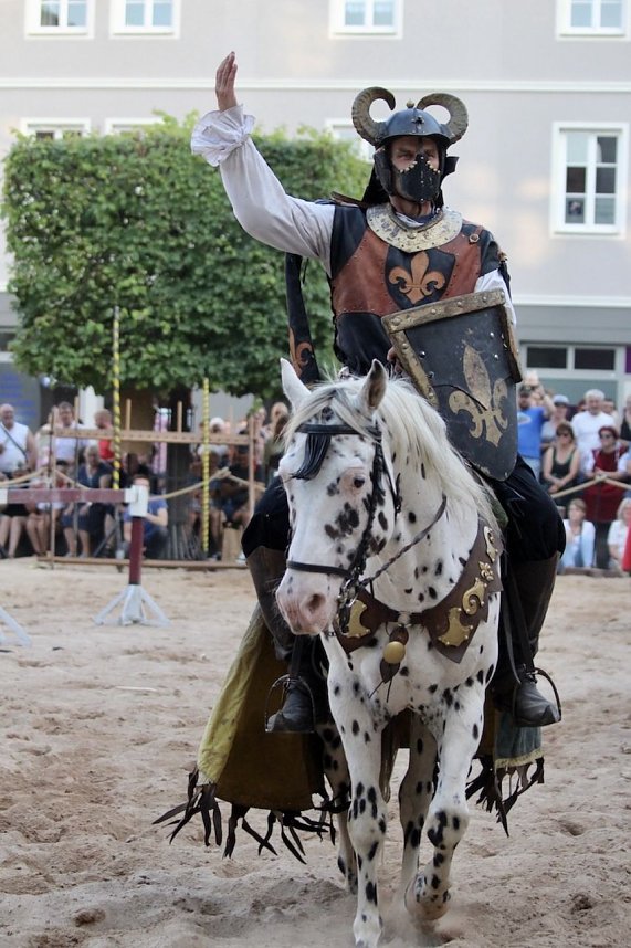 Hochprofessionelle Reitershow mit "Wenzel Ritterspiele"