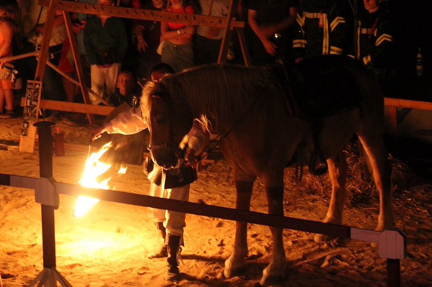 Hochprofessionelle Reitershow mit "Wenzel Ritterspiele"