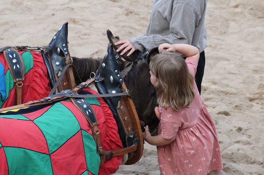 Zwei Tage lang feierten die Langensalzaer mit ihren G&auml;sten aus nah und fern ihr 30. Mittelalterstadtfest