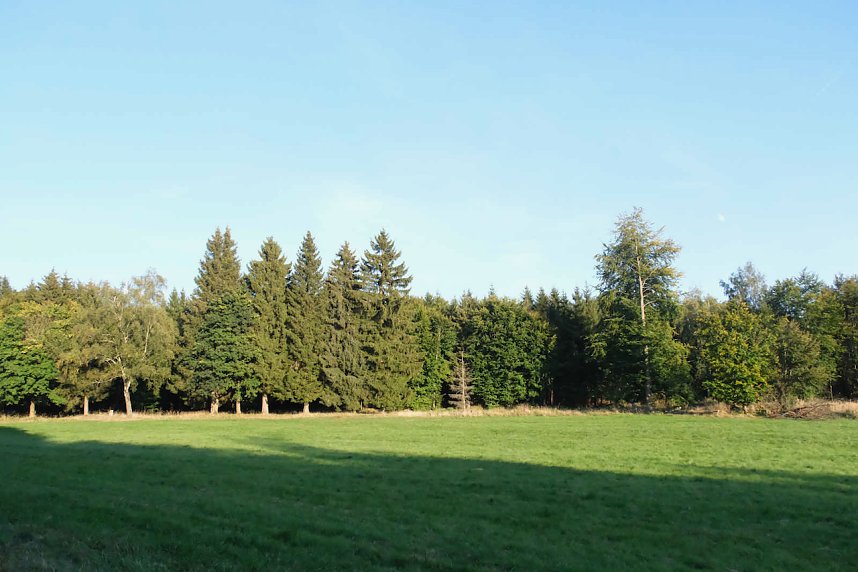 Peter Blei beim Waldspaziergang