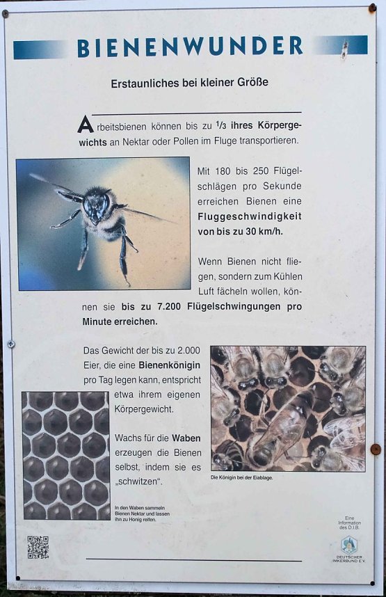 Sonntagswanderung an der Hassel-Vorsperre