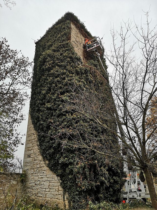 Befreiungsarbeiten am Pulverturm im Arboretum