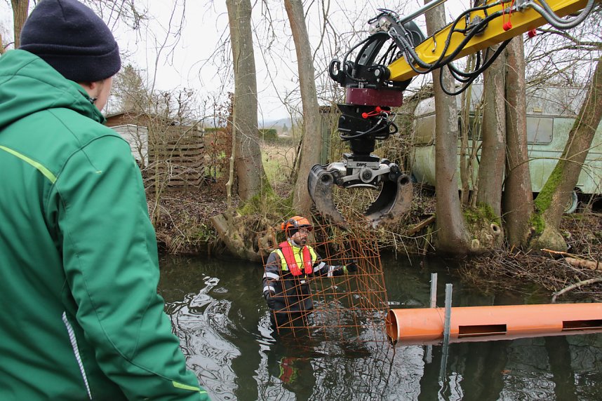Biberbau-Drainage in der Salza