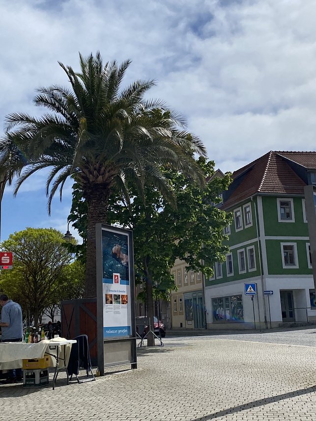 Das Jahr 2024 in Bad Langensalza