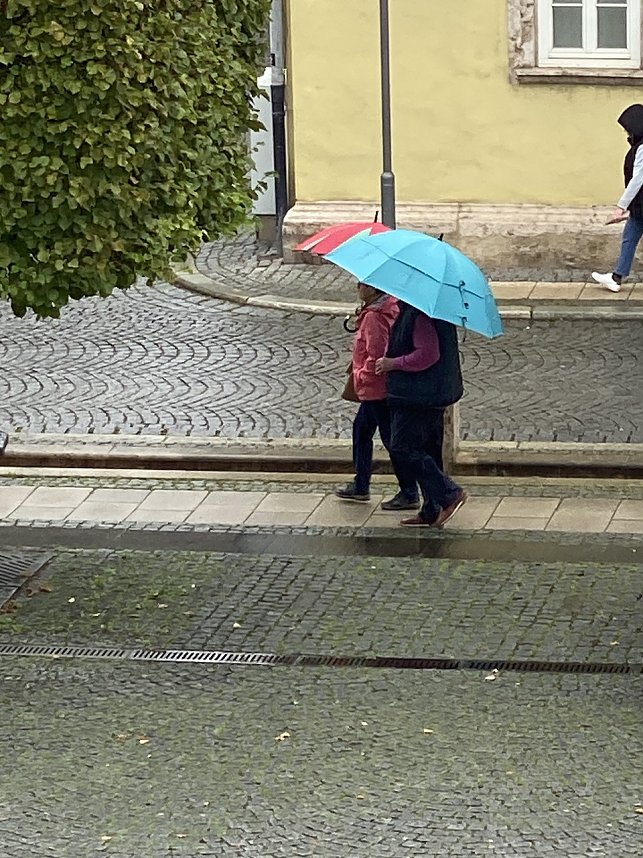 Das Jahr 2024 in Bad Langensalza