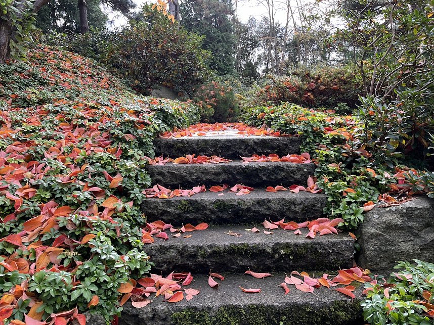 Das Jahr 2024 in Bad Langensalza - Japanischer Garten im Herbst