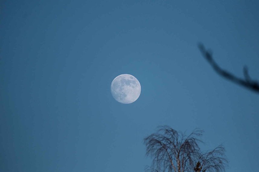 Winterlicher Harzausflug mit Kamera