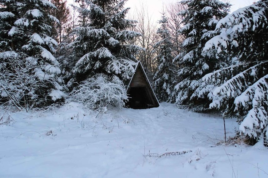 Winterlicher Harzausflug mit Kamera