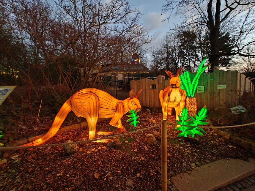Magische Lichterwelten in Halle