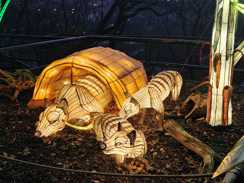 Magische Lichterwelten in Halle