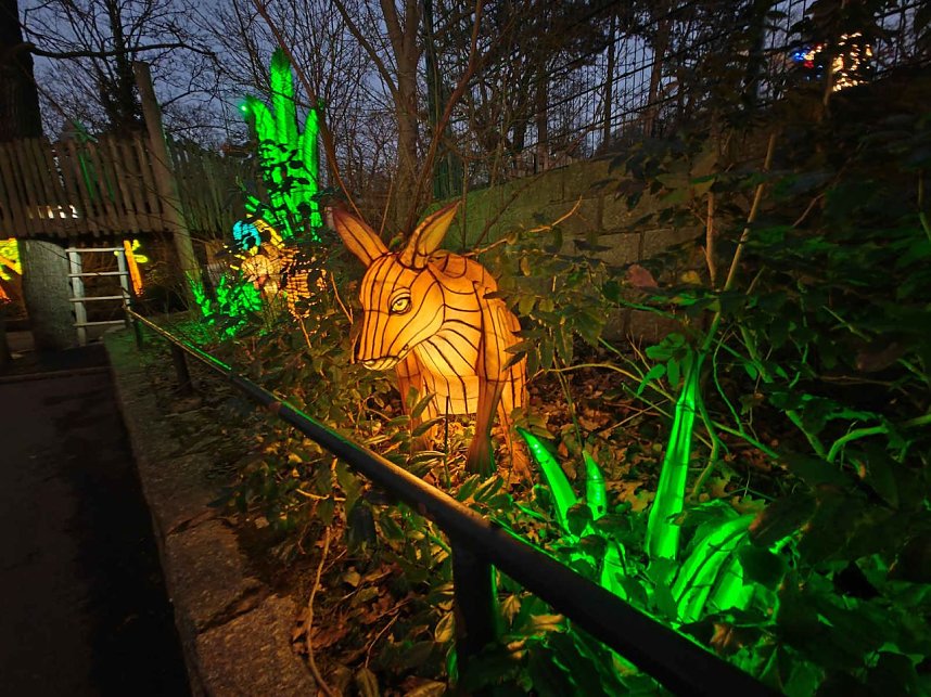 Magische Lichterwelten in Halle