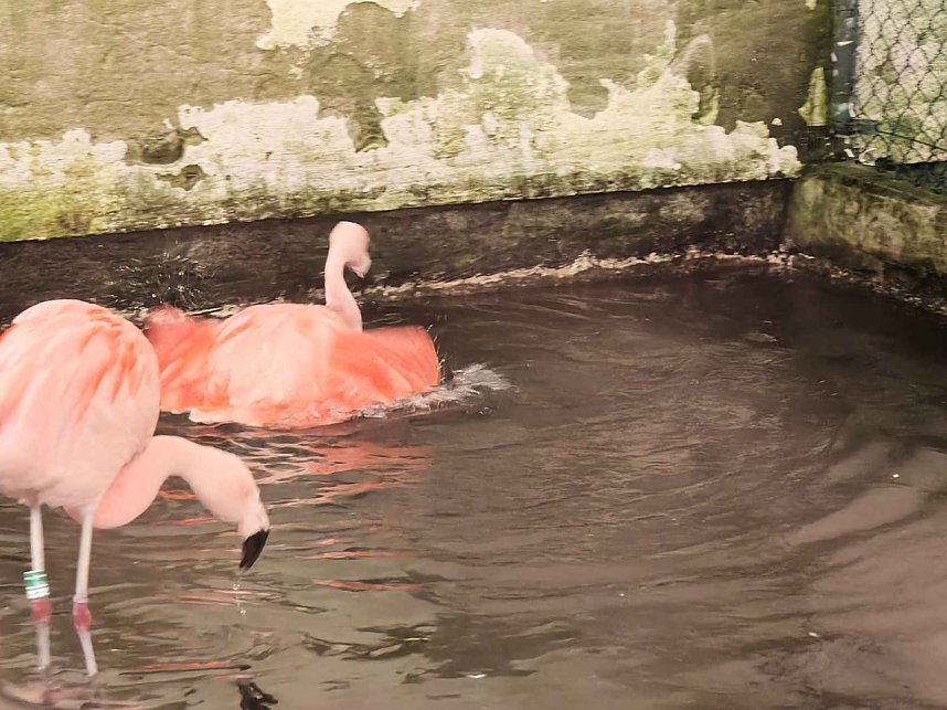 Magische Lichterwelten in Halle