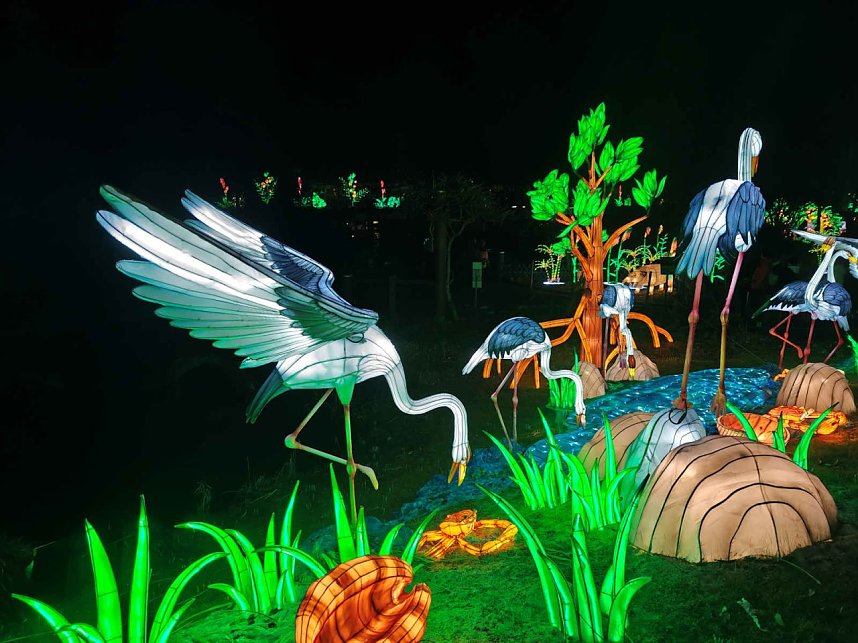 Magische Lichterwelten in Halle