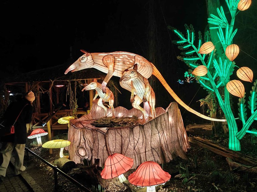 Magische Lichterwelten in Halle