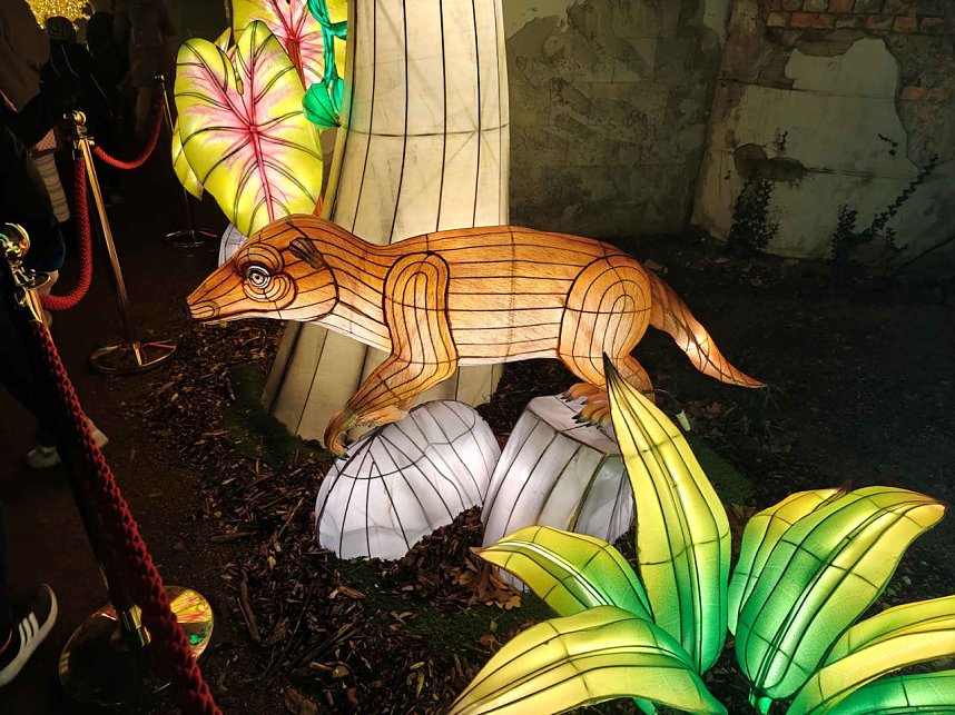 Magische Lichterwelten in Halle