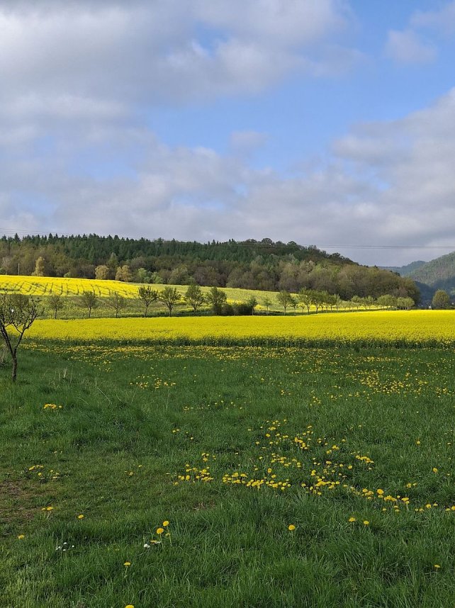 Impressionen von einer doppelten Harzquerung