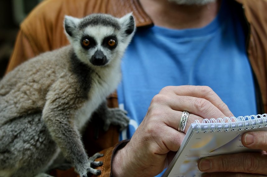 Besuch im Affenpark in Strau&szlig;berg (Th&uuml;ringen)