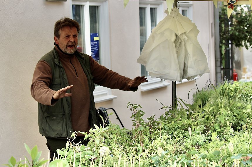 Das "Gr&uuml;ne Innenstadtfest" von Bad Langensalza 