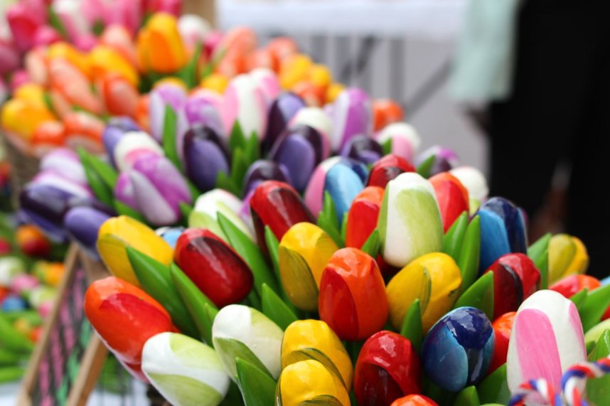 Buntes Treiben beim Gr&uuml;nen Innenstadtfest in Bad Langensalza