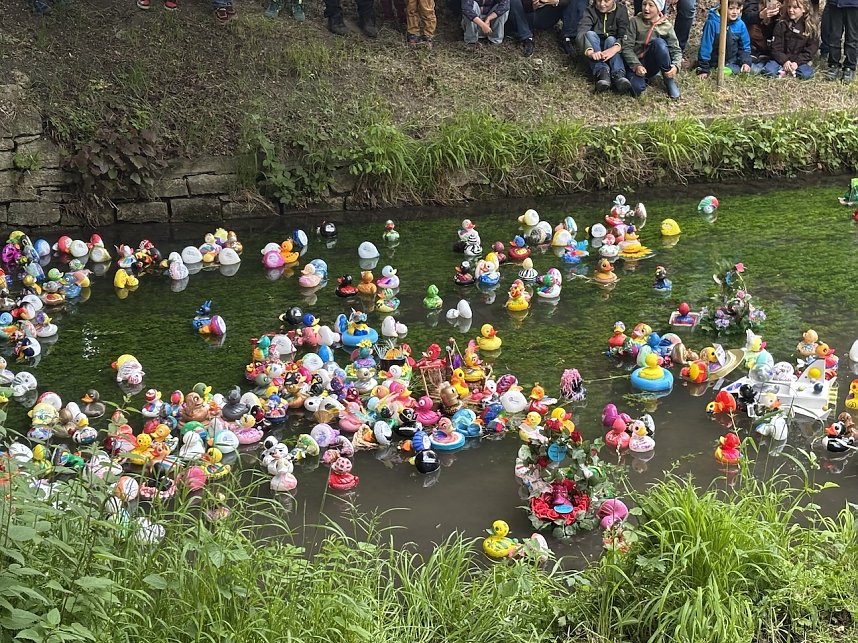 Menschen und Enten am und im Wasser