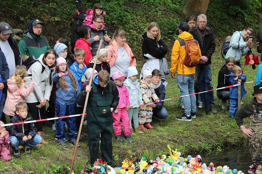 Entenrennen 2025 in Bad Langensalza 