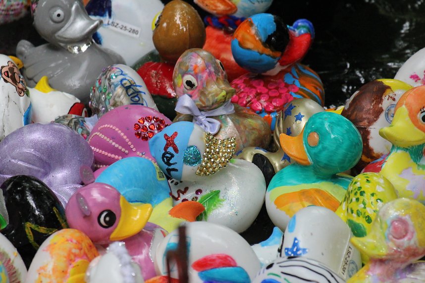 Entenrennen 2025 in Bad Langensalza 