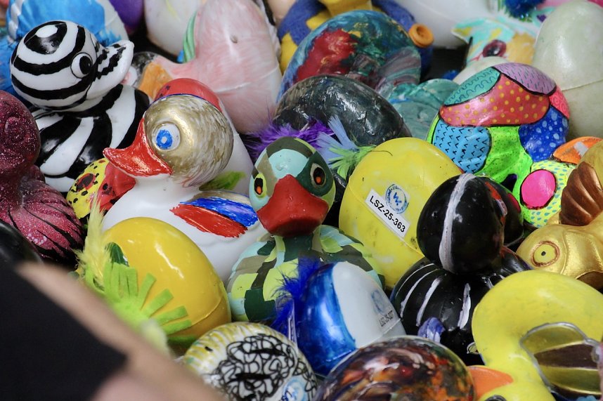 Entenrennen 2025 in Bad Langensalza 