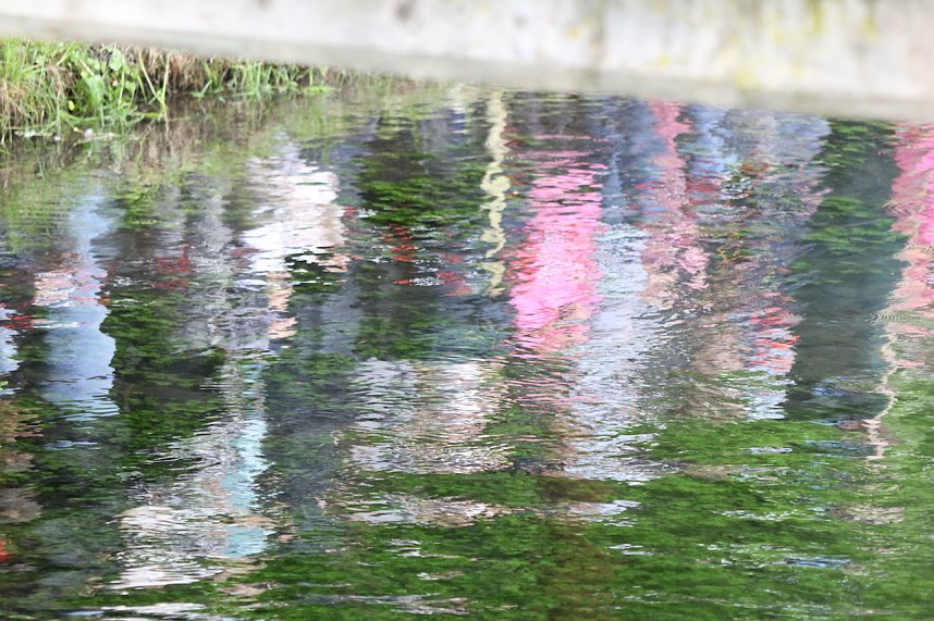 Entenrennen 2025 in Bad Langensalza 