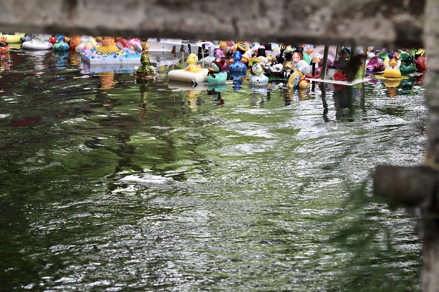 Entenrennen 2025 in Bad Langensalza 