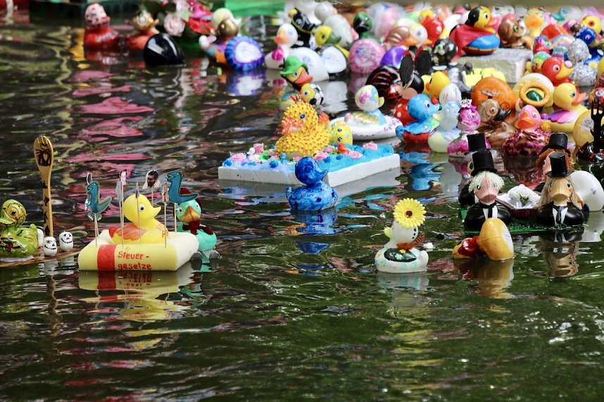 Entenrennen 2025 in Bad Langensalza 