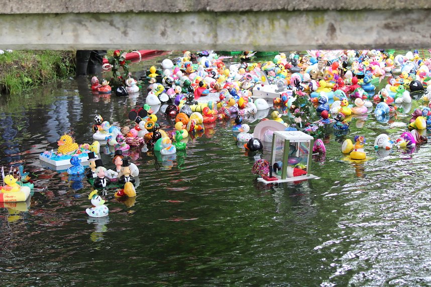 Entenrennen 2025 in Bad Langensalza 