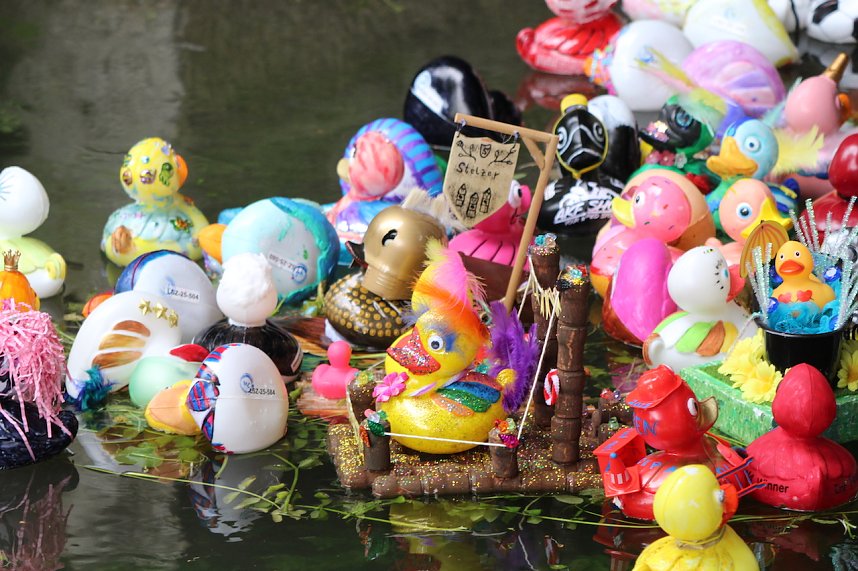 Entenrennen 2025 in Bad Langensalza 