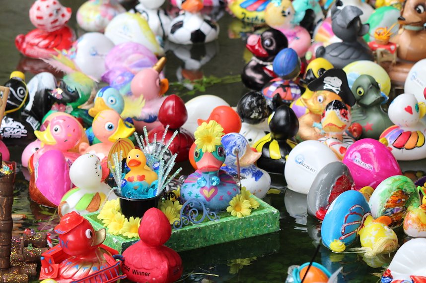 Entenrennen 2025 in Bad Langensalza 