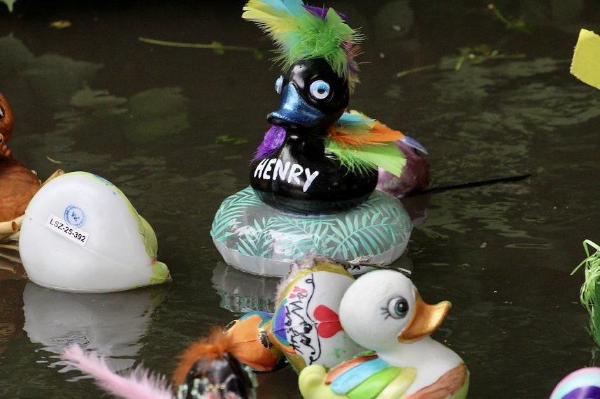 Entenrennen 2025 in Bad Langensalza 