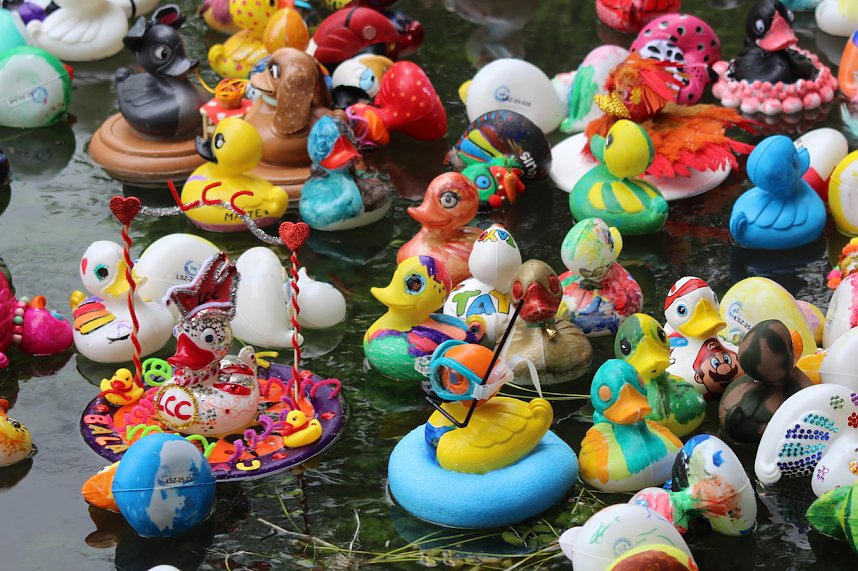 Entenrennen 2025 in Bad Langensalza 