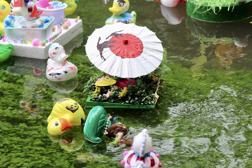 Entenrennen 2025 in Bad Langensalza 