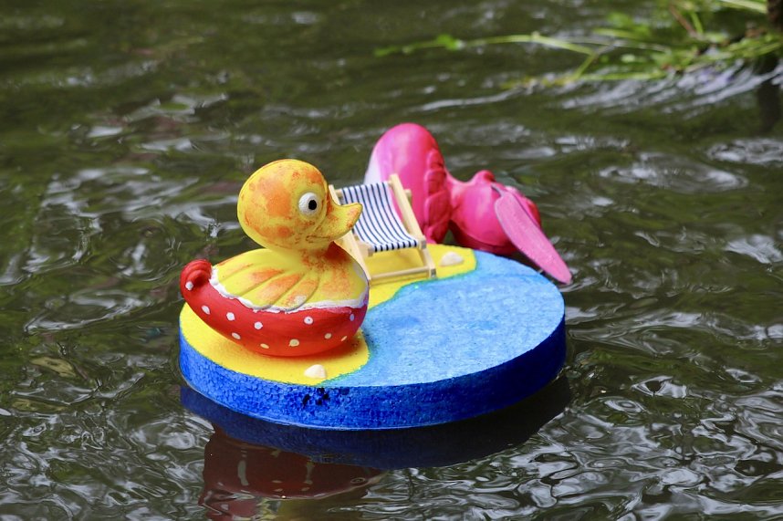 Entenrennen 2025 in Bad Langensalza 