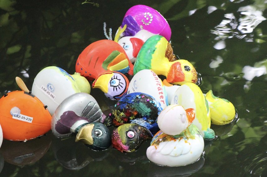 Entenrennen 2025 in Bad Langensalza 